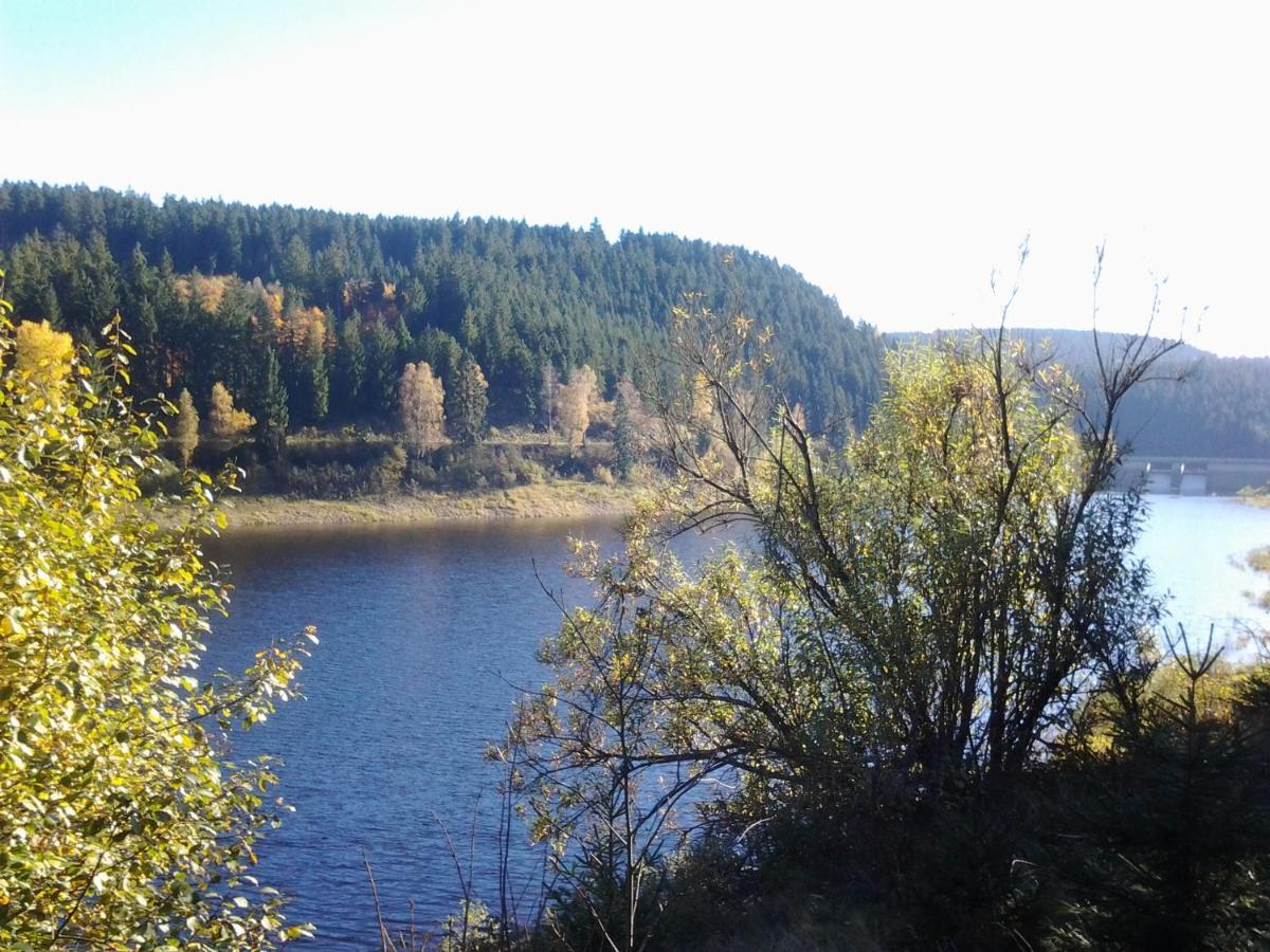 Fewo Therme Inkl Handtuecher Und Bettwaesche Altenau  Esterno foto