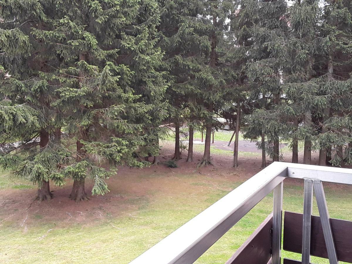 Fewo Therme Inkl Handtuecher Und Bettwaesche Altenau  Esterno foto